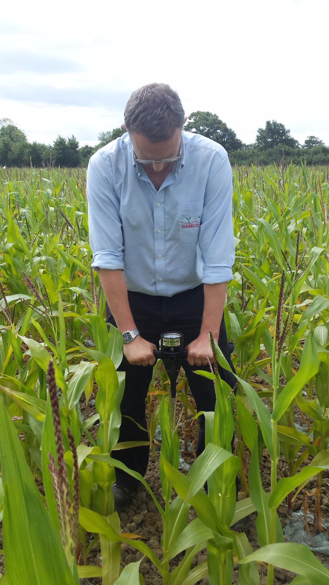 ShinesAgri (@shinesagri) on Twitter photo Thinking about where the maize will be growing for the 2017 season. Call us today for expert advice and soil sampling analysis. <a href="/ShinesAgri/">ShinesAgri</a> Thinking about where the maize will be growing for the 2017 season. Call us today for expert advice and soil sampling analysis. <a href="/ShinesAgri/">ShinesAgri</a>