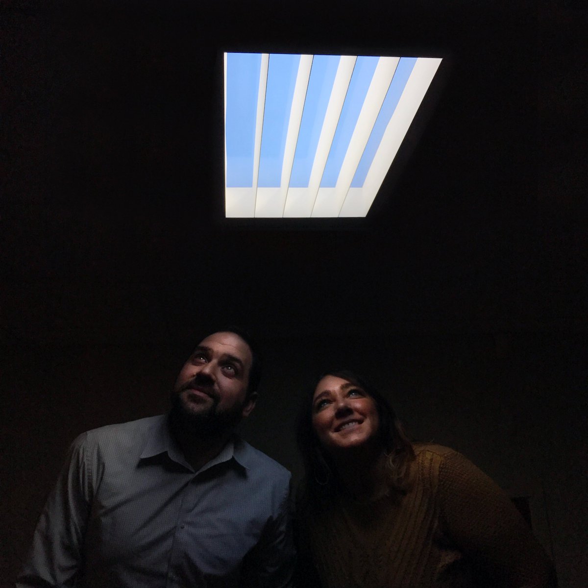 Lightology tweet media