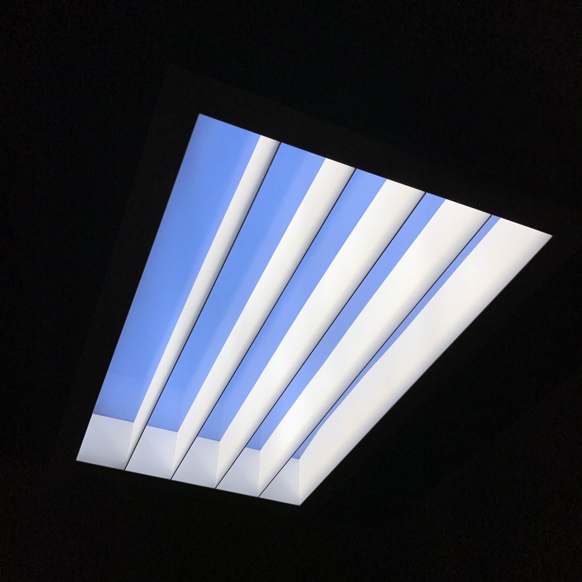 Lightology tweet media