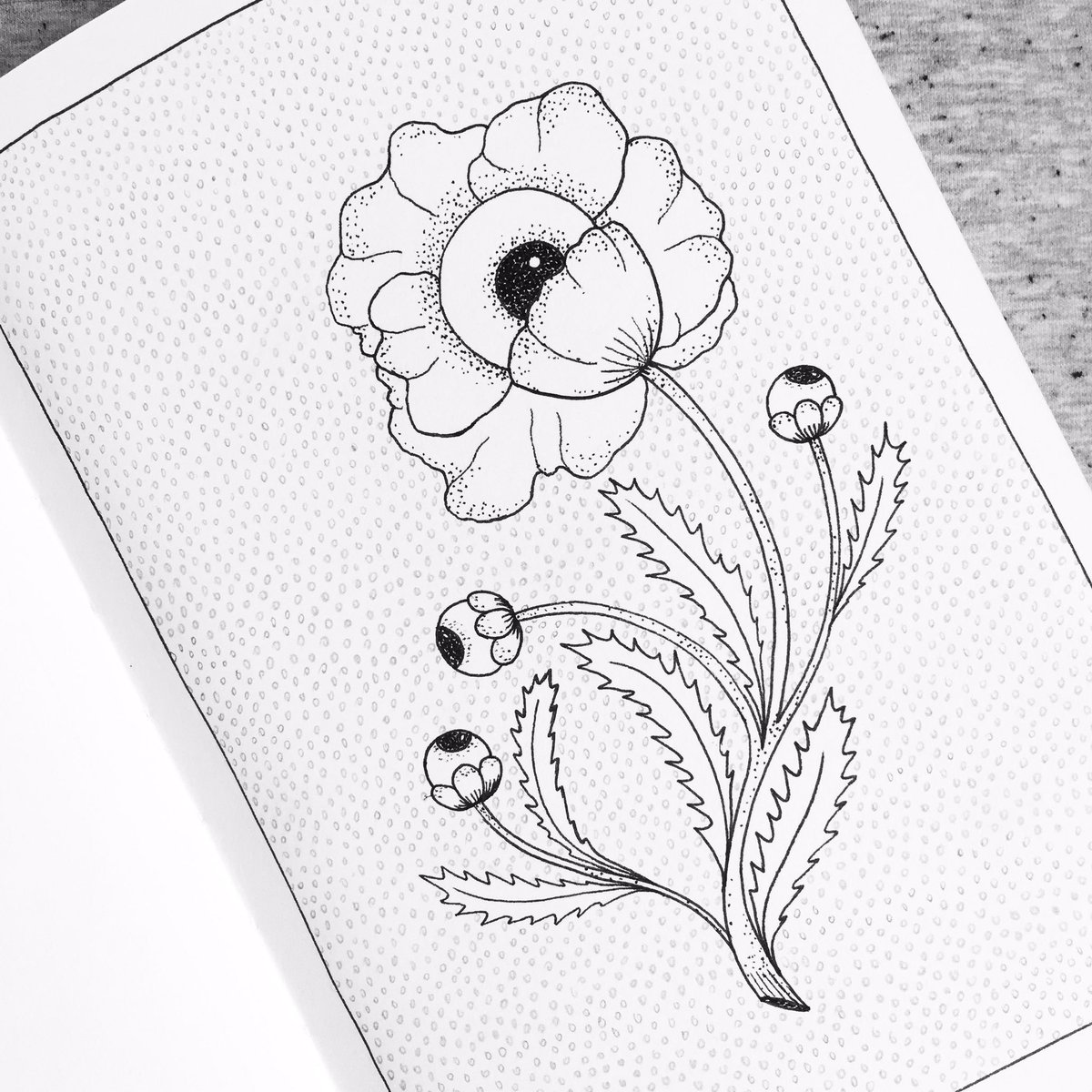 'fleur avec vue' #illustration