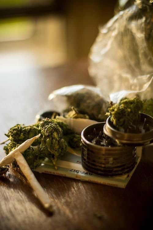 #HappyTuesday from your friends <a href="/high_supply_co/">High Supply USA</a>  🍃💚💨