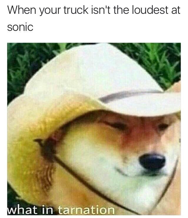 typicalSonic's tweet image. 