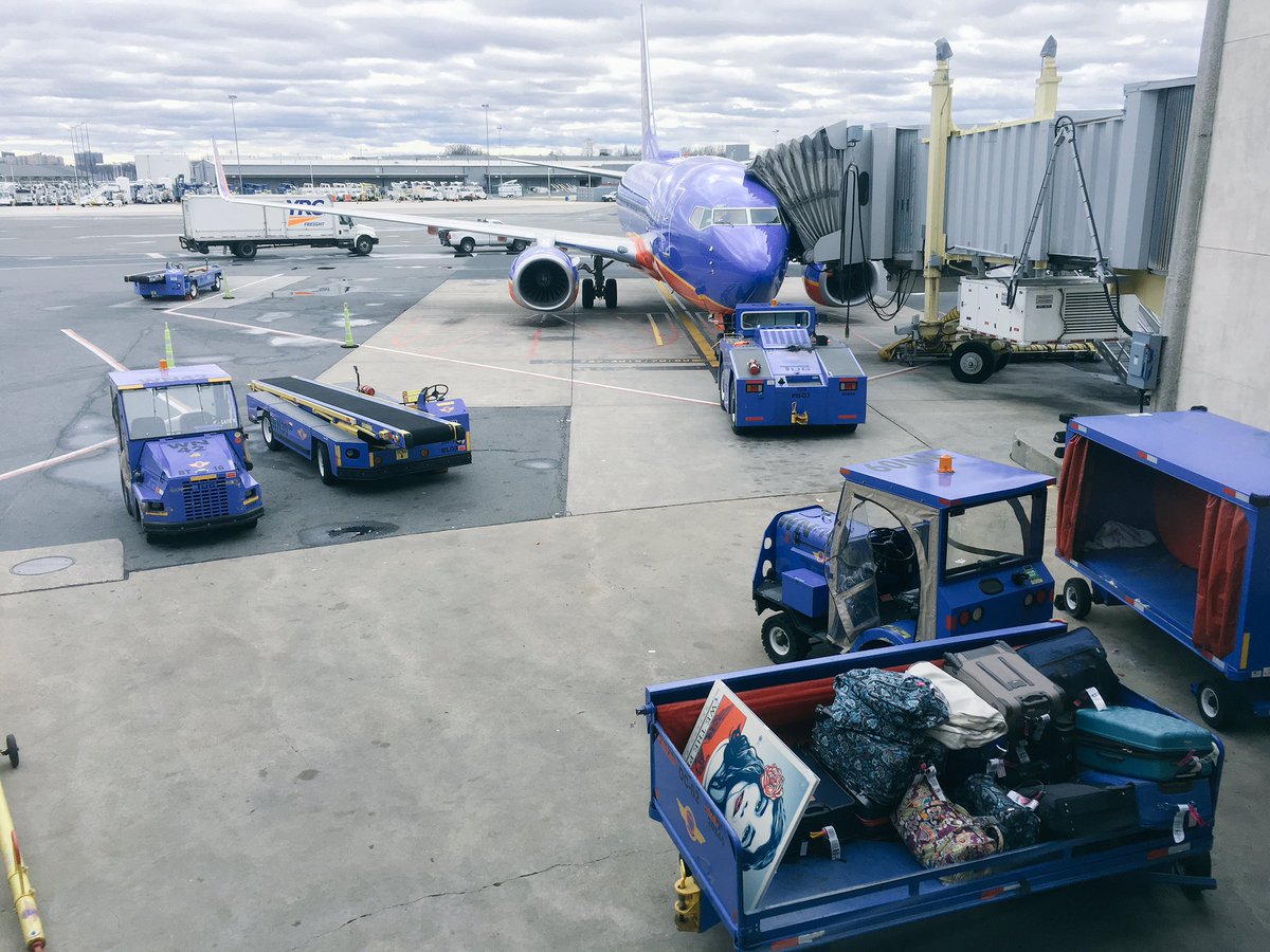 samadizayee's tweet photo. The power of @womensmarch; It's everywhere. Literally. And it continues. Photo by @AliAkinK at DCA airport. #womensmarch #wethepeople https://t.co/9dOZXv2xwy