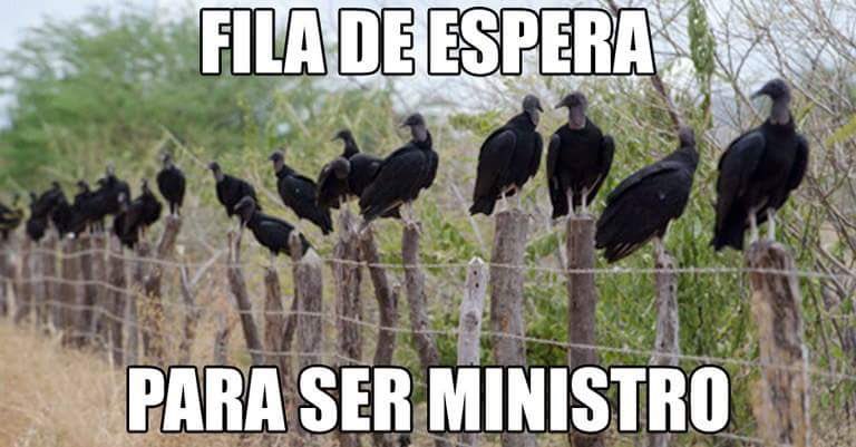 José Simão on Twitter: "Fila de espera pra ser ministro do STF!… "