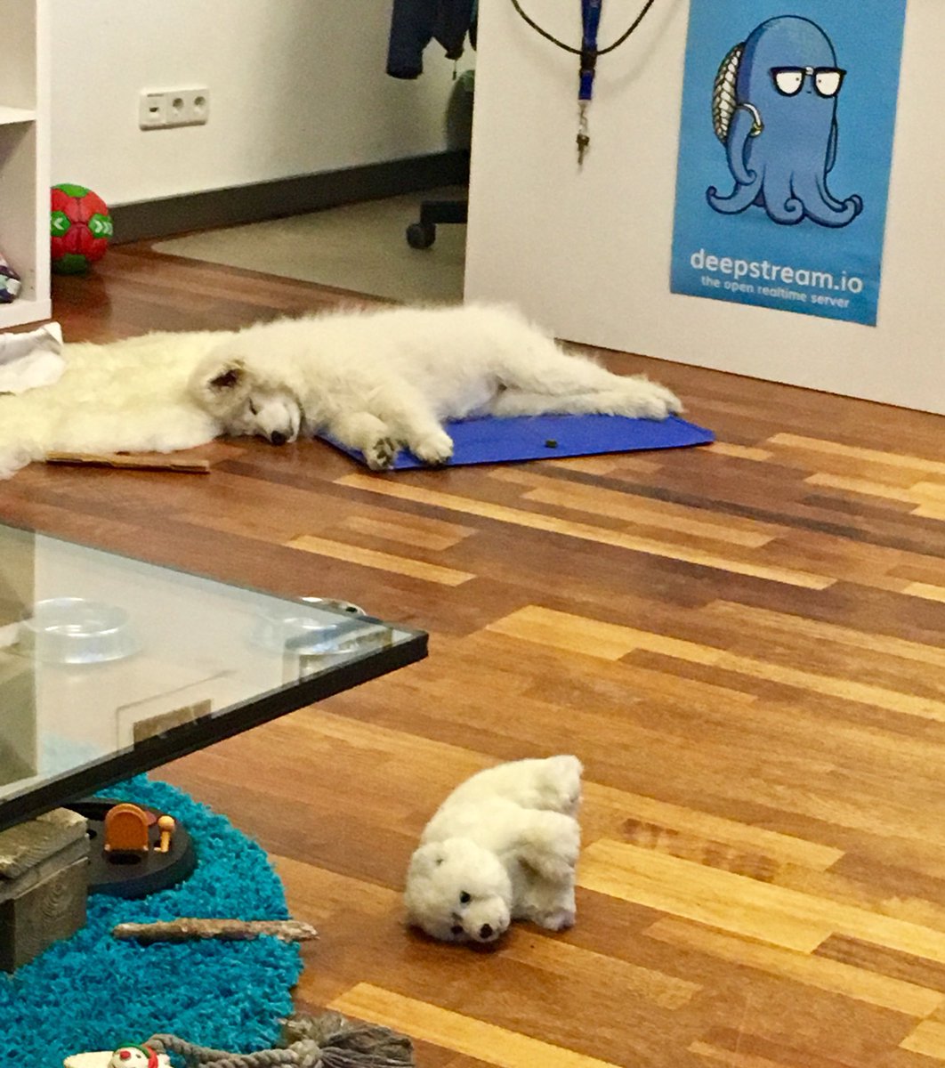 deepstreamHub's tweet image. Another tough day at the office #deepstreamio #deepstreamhub