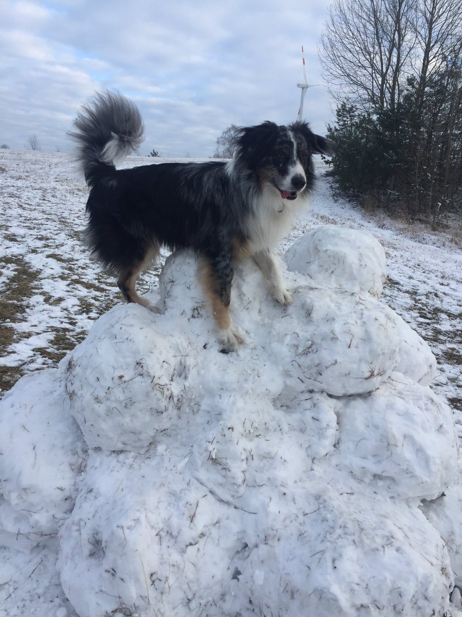 lauravomdach's tweet photo. Mission des Tages: Wir erklimmen den Mount Everest. ✔️ https://t.co/mxQGCHraPD