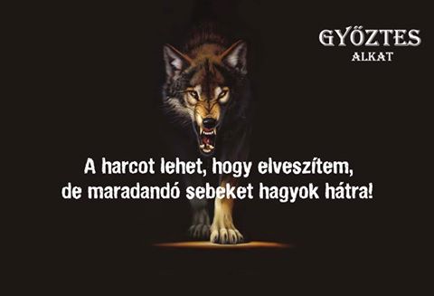 lotti1222's tweet photo. 👌👌😼😼 https://t.co/qxtoTOpQyn