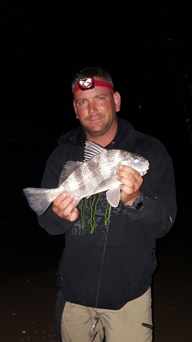 ReelHookerFishn's tweet photo. Great week at the Cape Lookout Jetty! https://t.co/yDy2eguWHj
