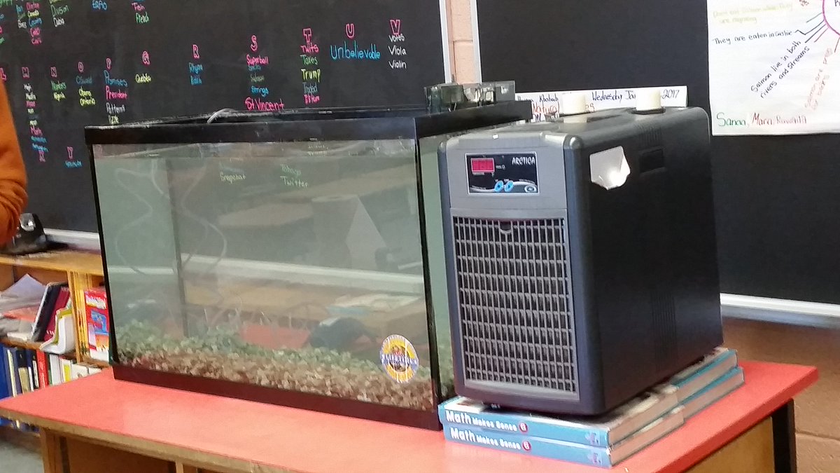 Salmon Hatchery installation underway. We are looking forward to the arrival of the eggs. Let the journey begin! <a href="/tdsb/">Toronto District School Board</a> <a href="/TDSB_STEM/">TDSB STEM K-12</a>