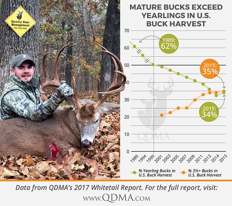 deerassociation's tweet photo. For the 2nd year in a row, U.S. hunters took more 3.5-year-old and older bucks than yearlings. #WhitetailReport
https://t.co/FSLf4zyJJq https://t.co/kNe9qdWNvM