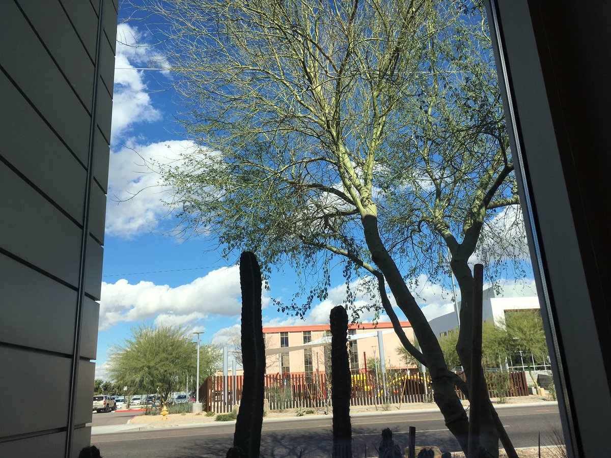 TannyMen's tweet image. #PHX the simple distractions of life.