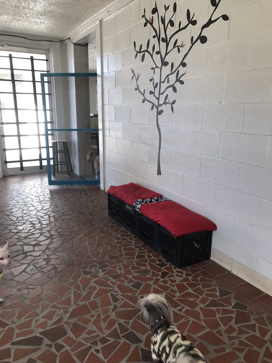 Highpoint650's tweet image. Yet another discount for our pet loving residents here at Highpoint Urban Living. Doggie daycare and overnight boarding available.#petlovers