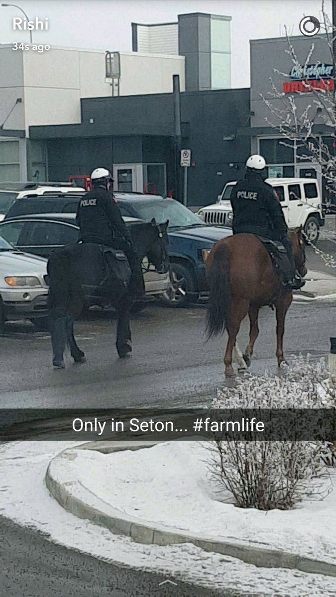 rkaria24's tweet photo. Just seen outside @SetonTd 🐎 #htww1 https://t.co/lVdhQkyzu9