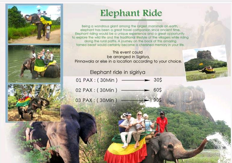 sanmarino397's tweet image. Email info@srilankantours.org who still offer CRUEL #Elephantrides in Sri Lanka. Tell them to stop! #OpElephant