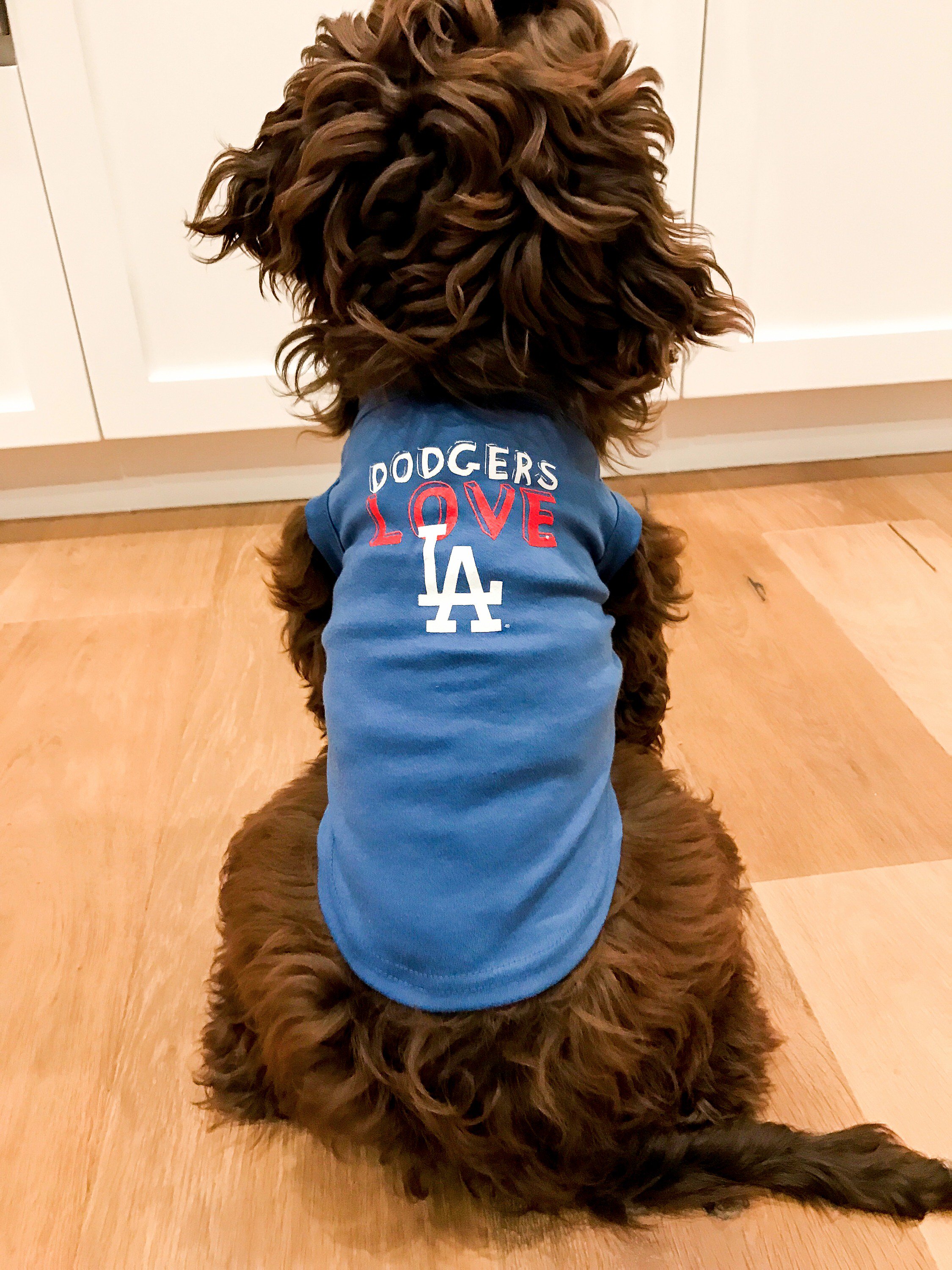 Los Angeles Dodgers MLB Dog Jersey