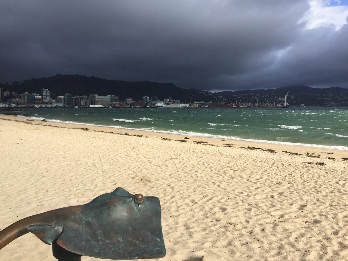 Dramatic day here at Oriental Bay