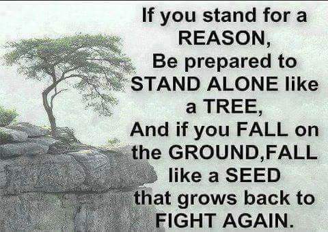 SantarinGs's tweet photo. Good night.. https://t.co/6odtTzBC36