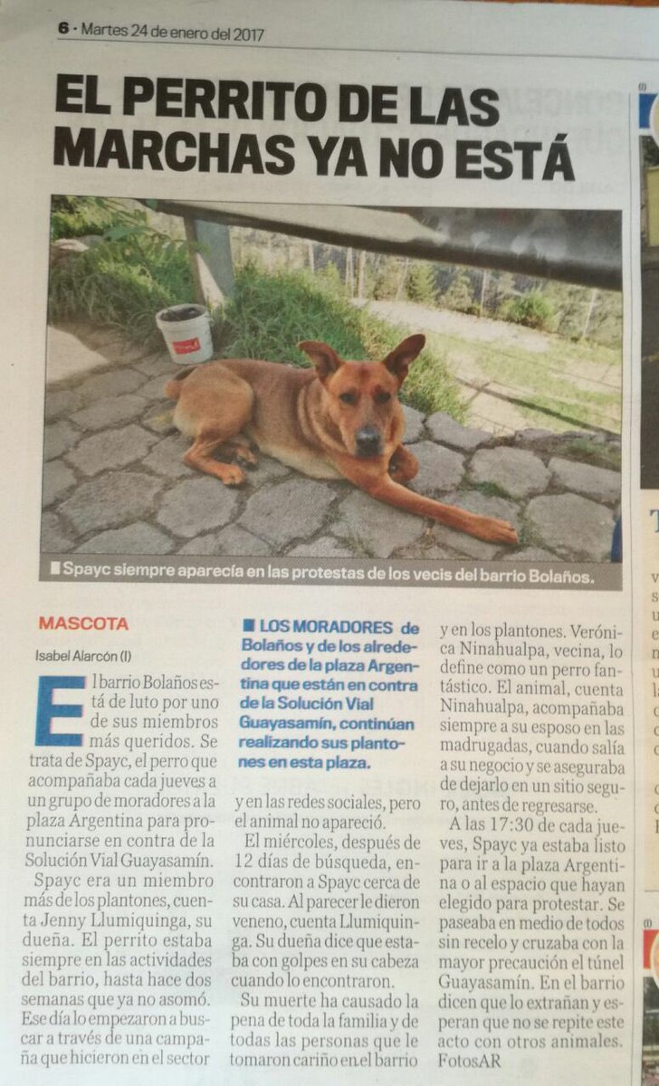 ErrorGuayasamin's tweet photo. Una nota sobre nuestro amado #Spayc, el perro del barrio #Bolaños. https://t.co/3Pc1KEFTyq