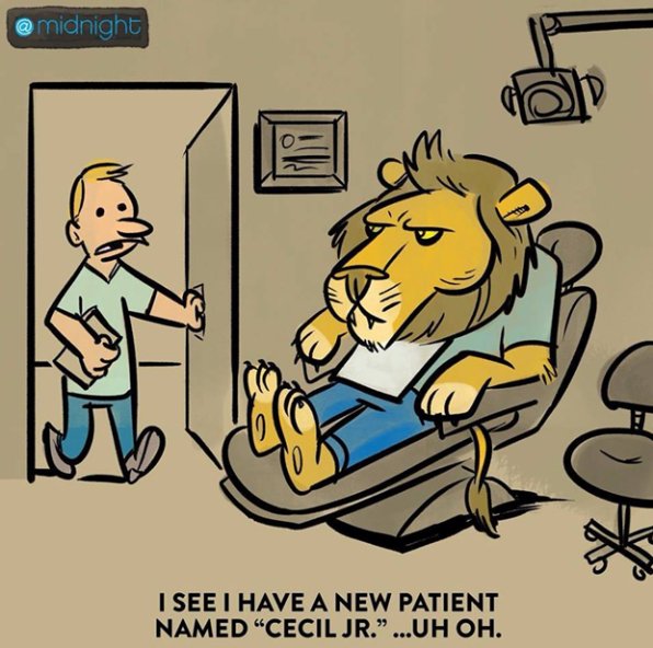 WizKhan101's tweet photo. Near future. #ICIJ''-#NawazSharif.#DeadManWalking #MetroInSouthPunjab #شکریہ_نوازشریف #ویلے_لوگ #MatchOverForSharifs #ThisIsRealPakistan https://t.co/N7QQmVMI1A