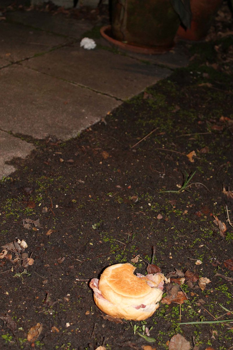 OldRoyalFree's tweet photo. .@circlehousing please request contractors do not throw food/packaging into Old Royal Free resident's gardens (see photo from 20th Jan) https://t.co/GOCZYNGM9m