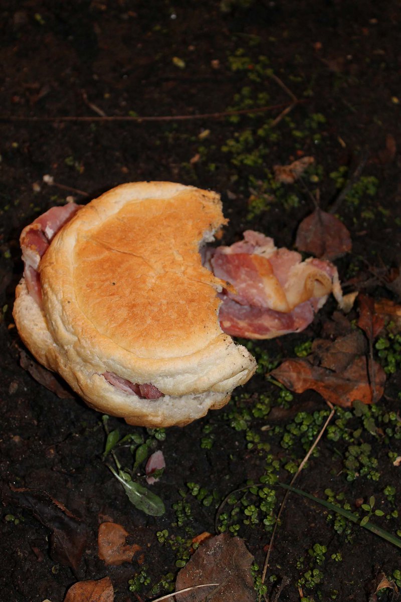 OldRoyalFree's tweet photo. .@circlehousing please request contractors do not throw food/packaging into Old Royal Free resident's gardens (see photo from 20th Jan) https://t.co/GOCZYNGM9m