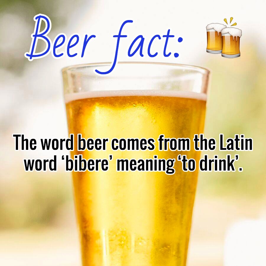 #TuesdayBrewsday #BeerFact