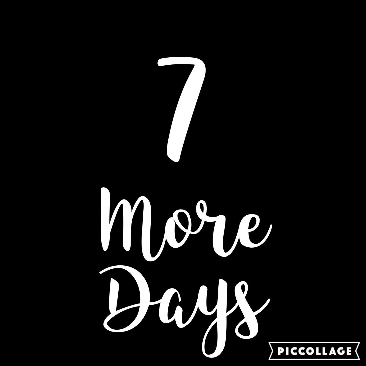 ELEVATEYEG's tweet photo. Only 8 days until we close our doors. Everything in store and online is 40% OFF. Get 50% OFF when you buy 2 or more bras or shorts https://t.co/Y9FSKYan7E