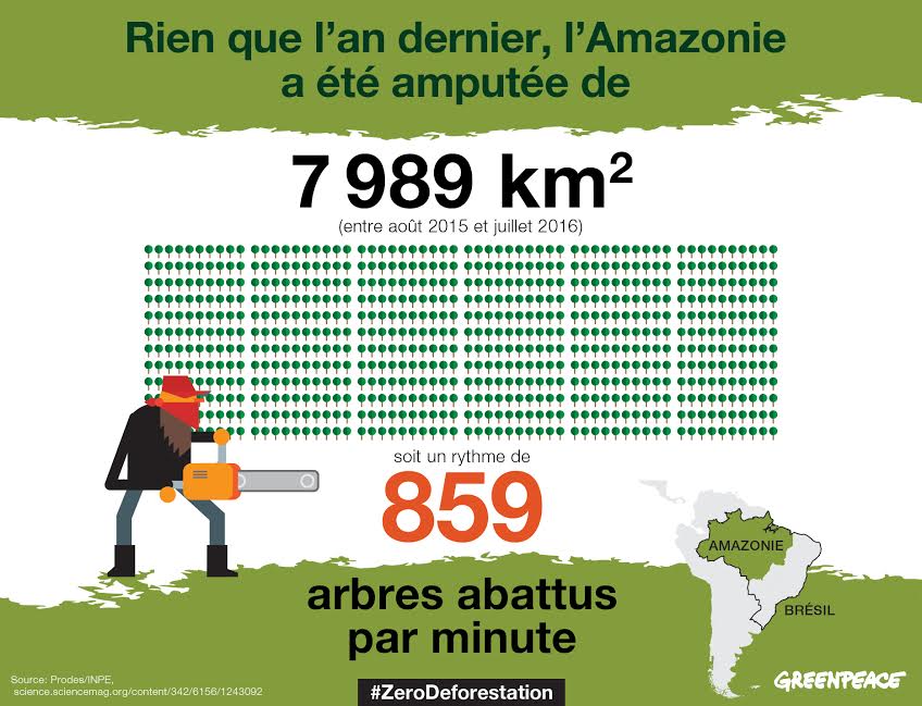 greenpeacefr tweet picture