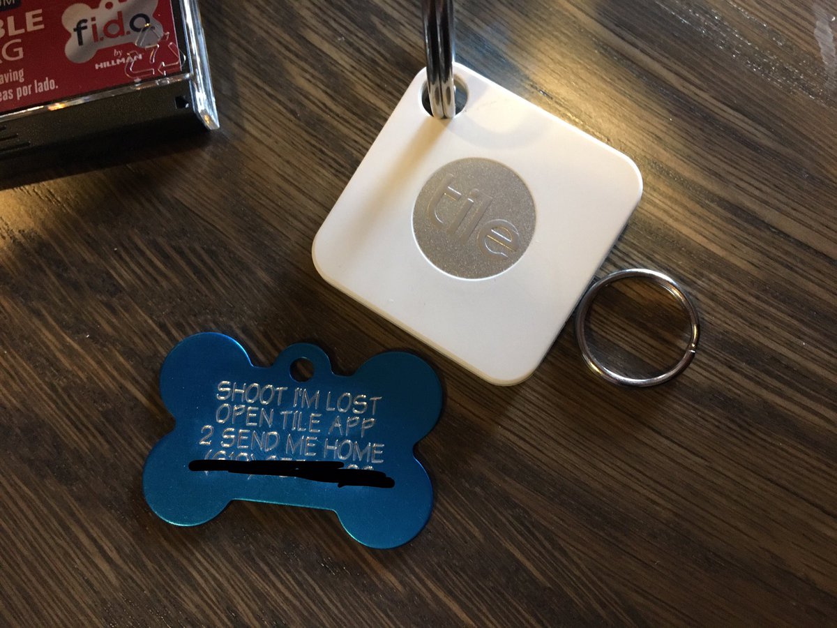 MsThomEGemcity's tweet photo. Now, heaven forbid #NachoThePug gets lost, he can be found. @TheTileApp #TiledIt https://t.co/FigwEwqmsx