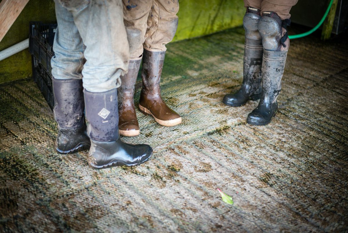 Willowood Farm is hiring for 2017! To apply: goo.gl/lBNVAx . 
3 Positions available.