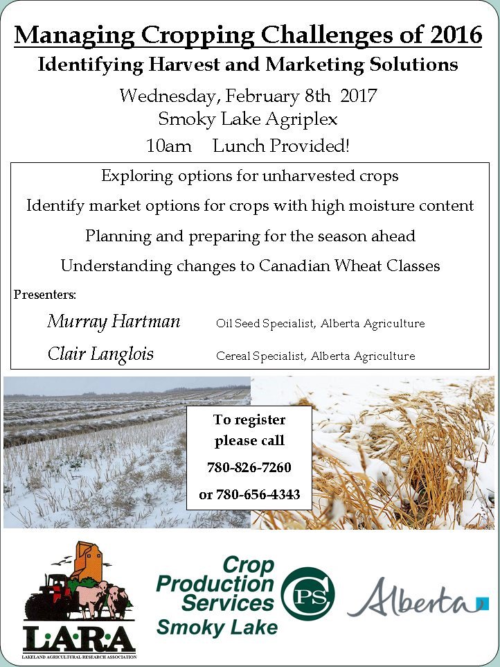 Market options for harvested crop with high moisture content. What options exist for crops which remained in the field in winter?