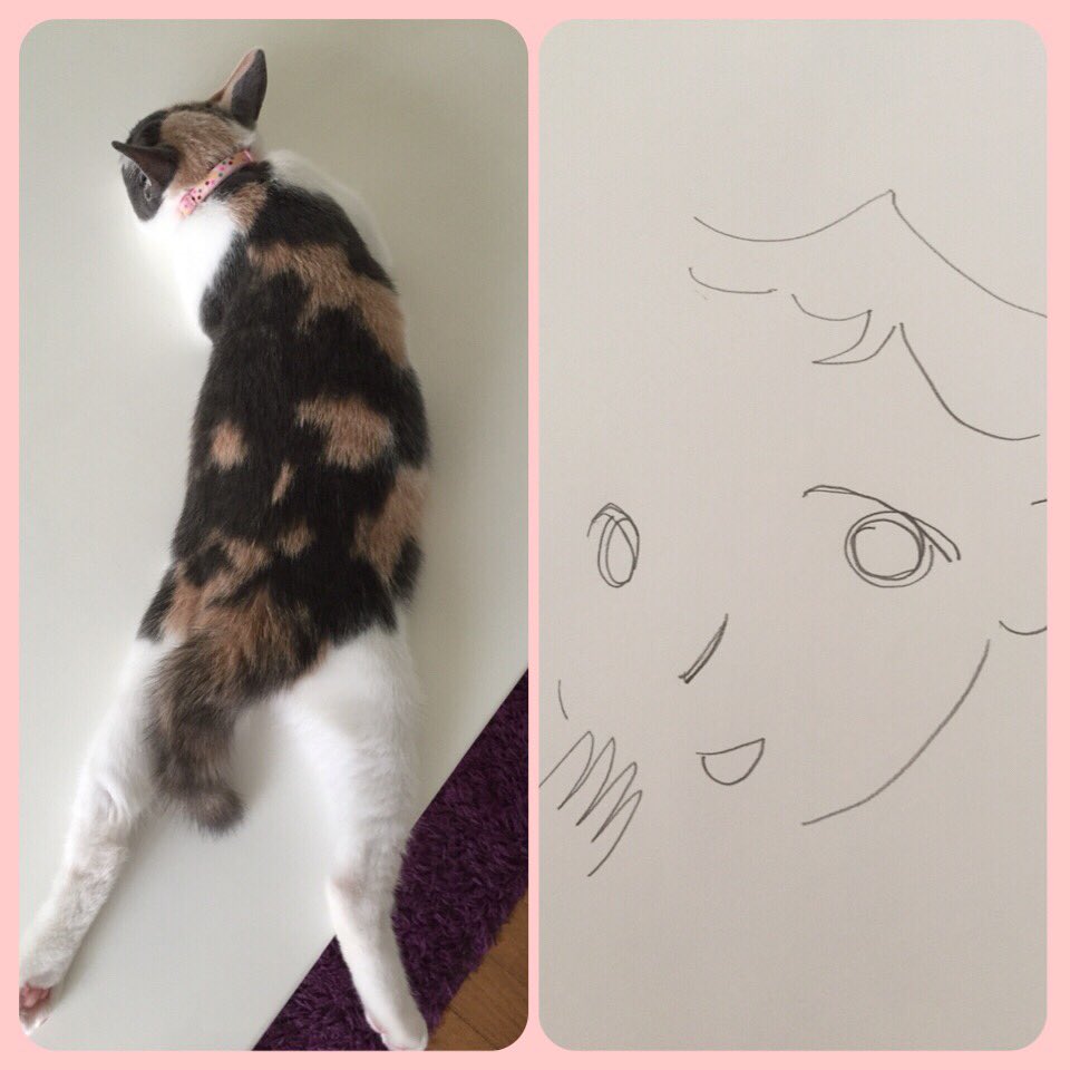 ハナちゃん ハナちゃんの面白い柄 一覧 背中に女の子のイラスト 頭の黒リボン 耳のハート型 かなり個性的なオシャレさん 笑 三毛猫 珍しい柄 個性的 T Co Vorzrtwtw9 Twitter