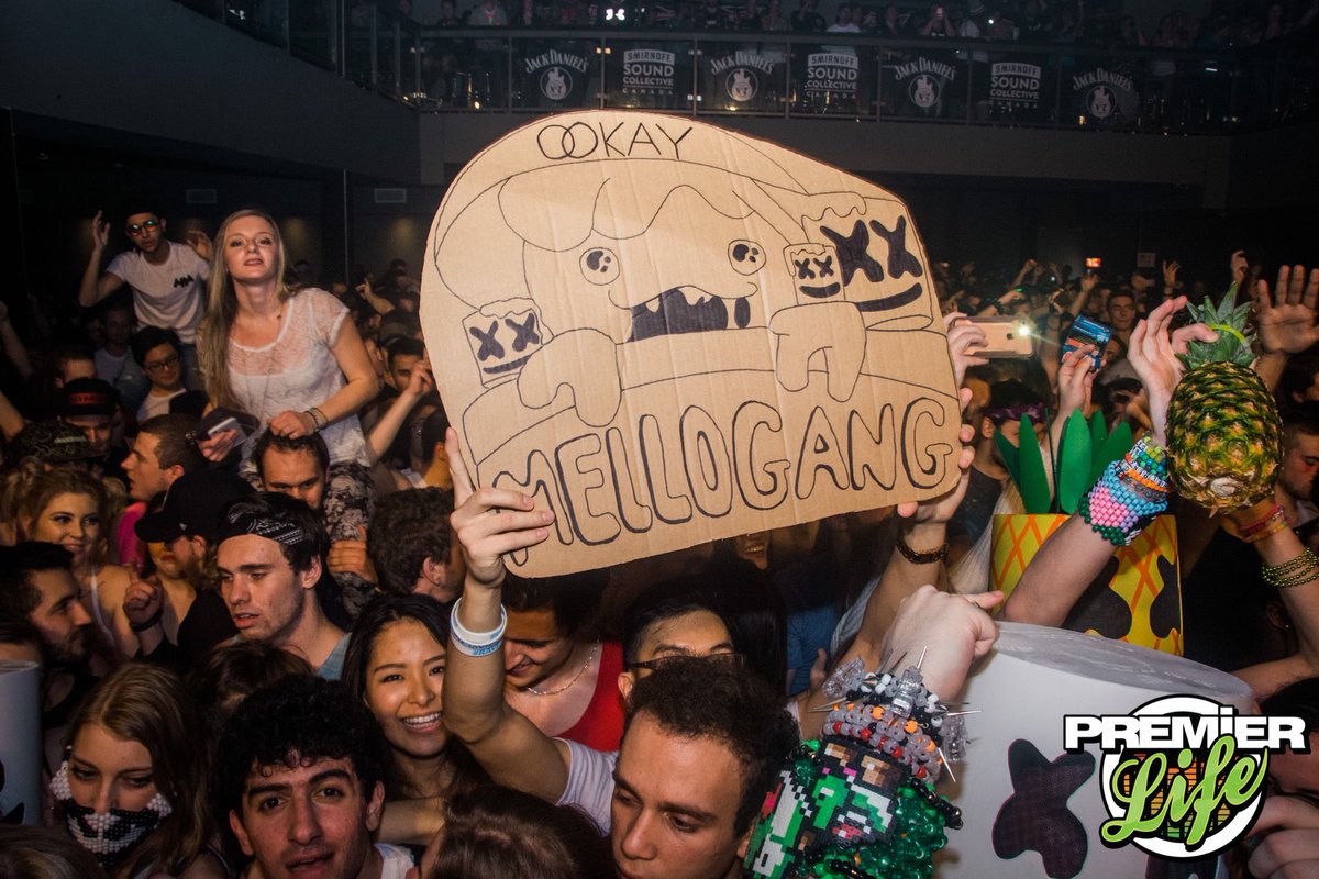anthchanty's tweet photo. We are all united π #ravetogether @marshmellomusic @Ookay @SlushiiMusic https://t.co/l1G9qMKjHC