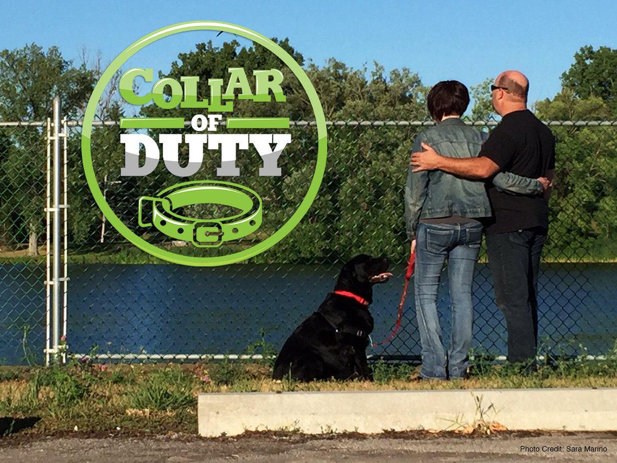 Collar of Duty Episode 2 airs Friday January 13 @ 10PM EST / 7PM PST on Animal Planet. Make sure to tune in! #collarofduty #animalplanet