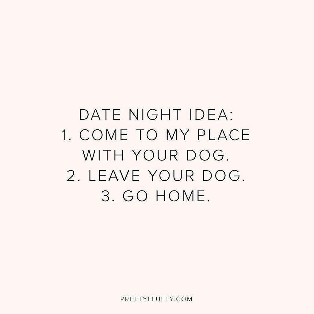 designmilkpets's tweet photo. Perfect #datenight idea from @pretty_fluffy! 😂 https://t.co/jUESrtObb1 https://t.co/wQK8h7Bf7i