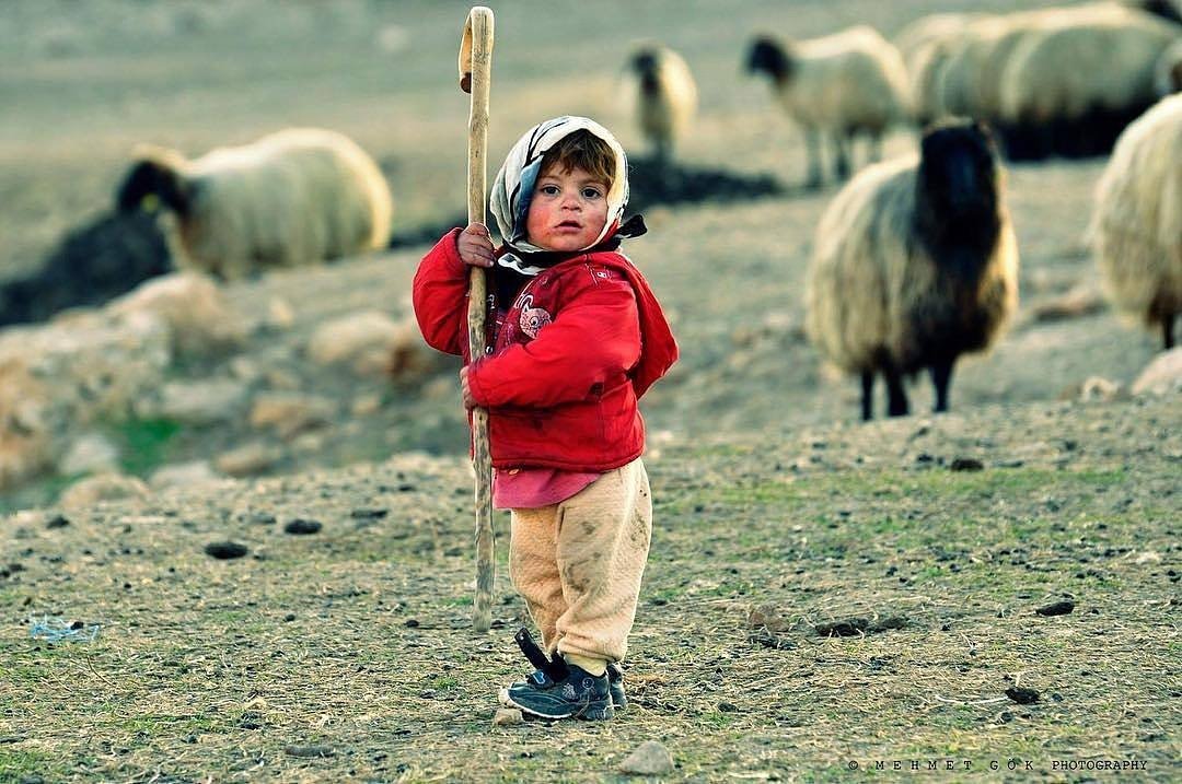 SidarCerkezoglu's tweet photo. #HodriMeydan https://t.co/0SsIyqfdvb