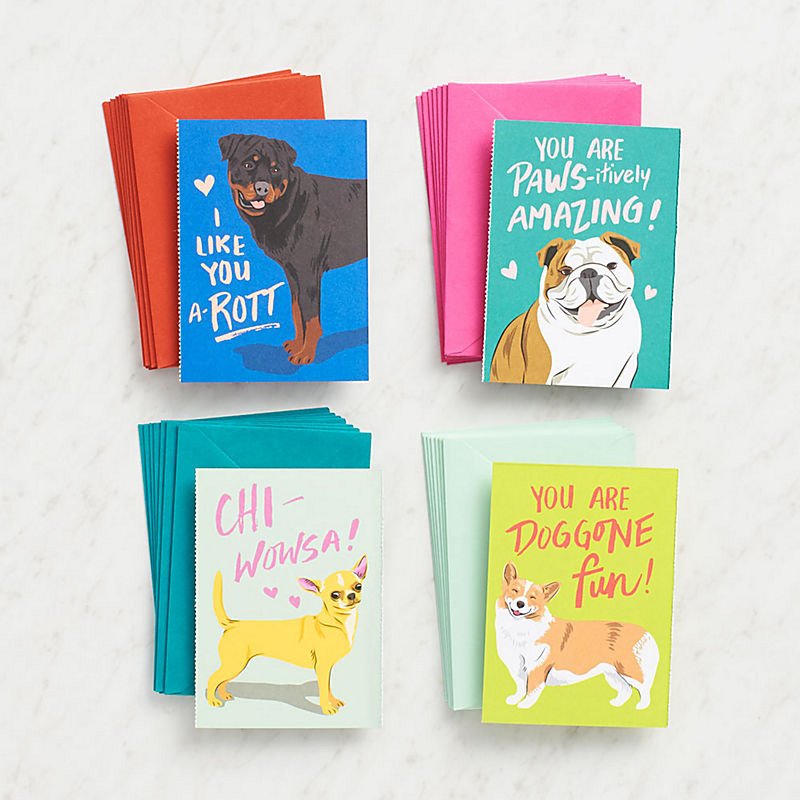 designmilkpets's tweet photo. Dog Valentine Card Set from Papersource https://t.co/6SIdYeDqnI https://t.co/eH52QwvLRM