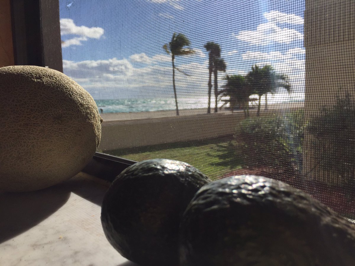 EmilySchramm6's tweet photo. Sunny Florida https://t.co/bn7mbf3ppb