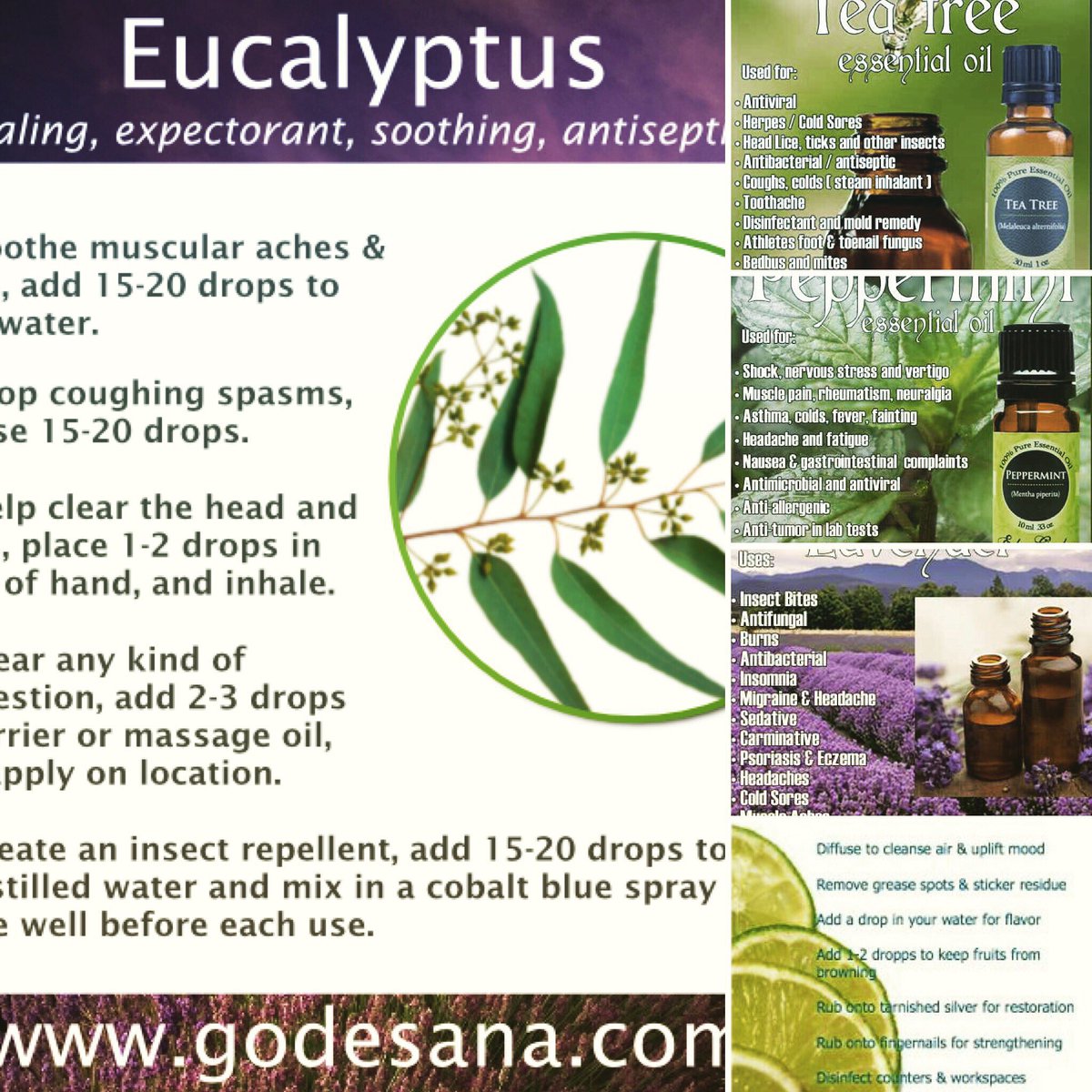 enchantednewent's tweet photo. #holistichealth #colds #cough #winter #snuffly #eucalyptus #teatree #peppermint #lime #essentialoils #newent #forestofdeanhour #gloucester https://t.co/0lKwWgXFAH