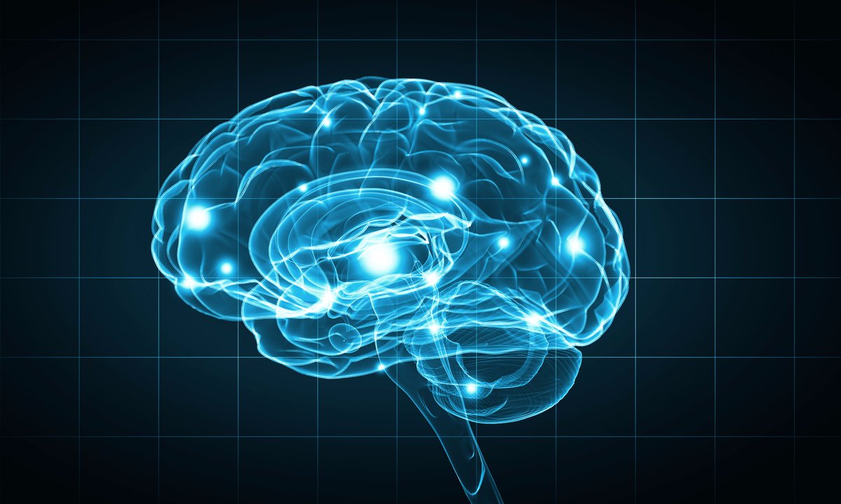 MatthewRenze's tweet photo. Check out my talk "The #MindfulDeveloper: The Neuroscience of Successful Software Developers" at #CodeMash tonight. https://t.co/L35Dba5vXV https://t.co/SO9bQQhx8v