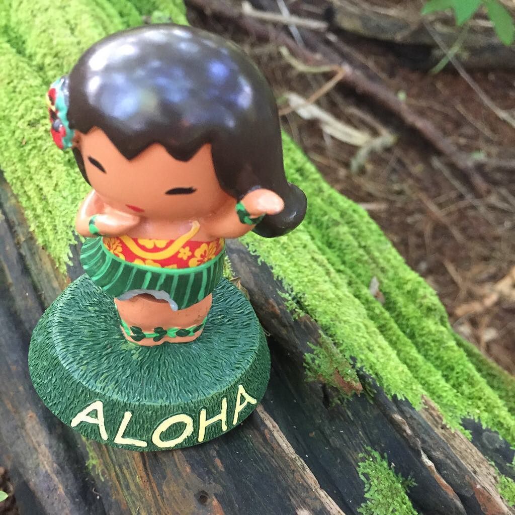 larisamajors's tweet photo. Hiking buddy.
#likekefalls #likeke #oahu #aloha #thursdaytrail #majorstrails2017 https://t.co/zH3iDdYm6W https://t.co/8b9Nab8rnw