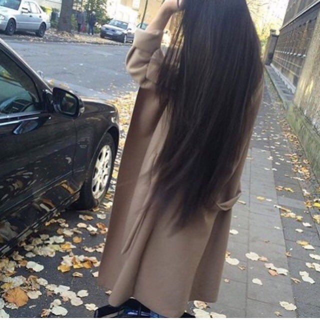 bashairm_15 tweet picture