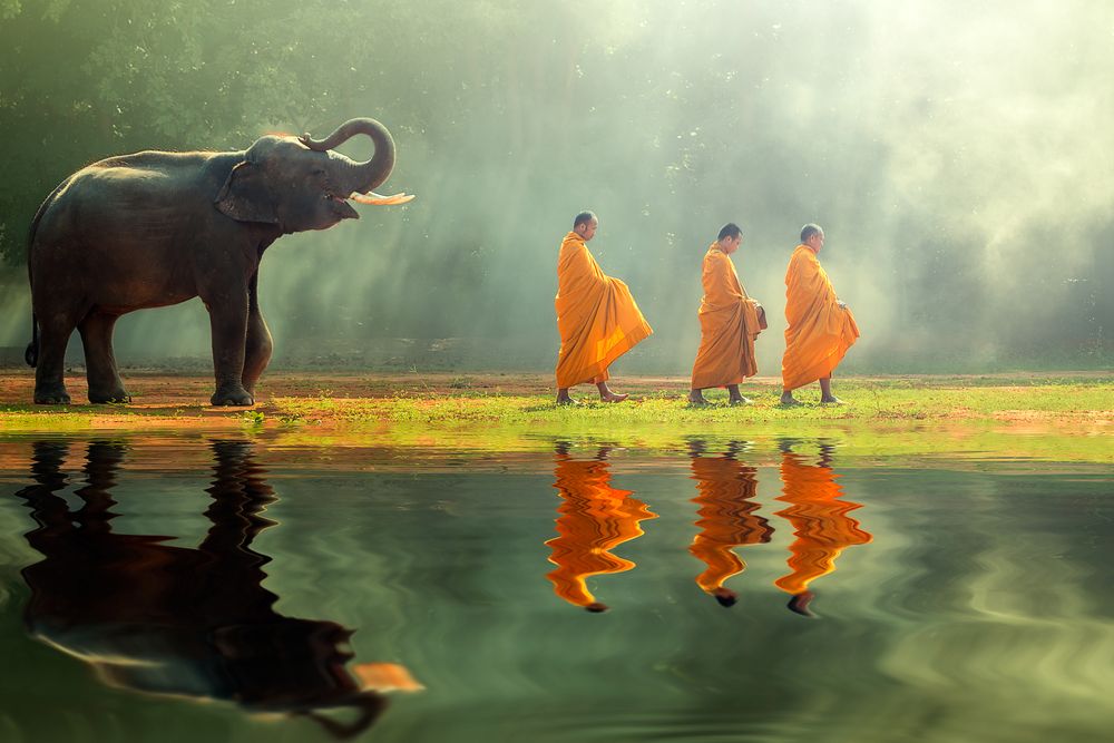 “Home is where the heart is, and my heart is wherever I am at the moment.” — Lily Leung #travel