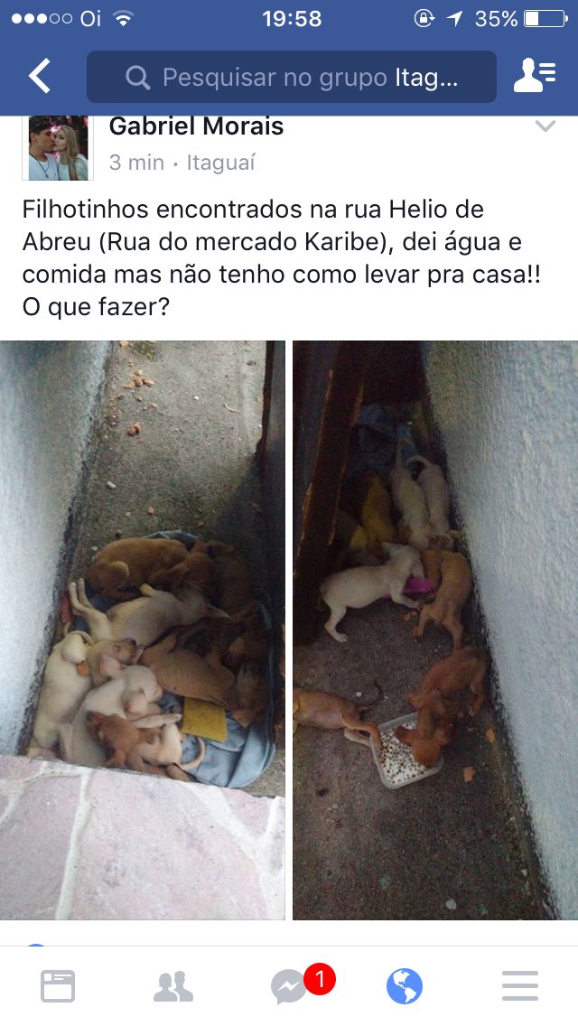 MesutOzillmann's tweet photo. Quem quiser adotar https://t.co/9vV1ycX4hI