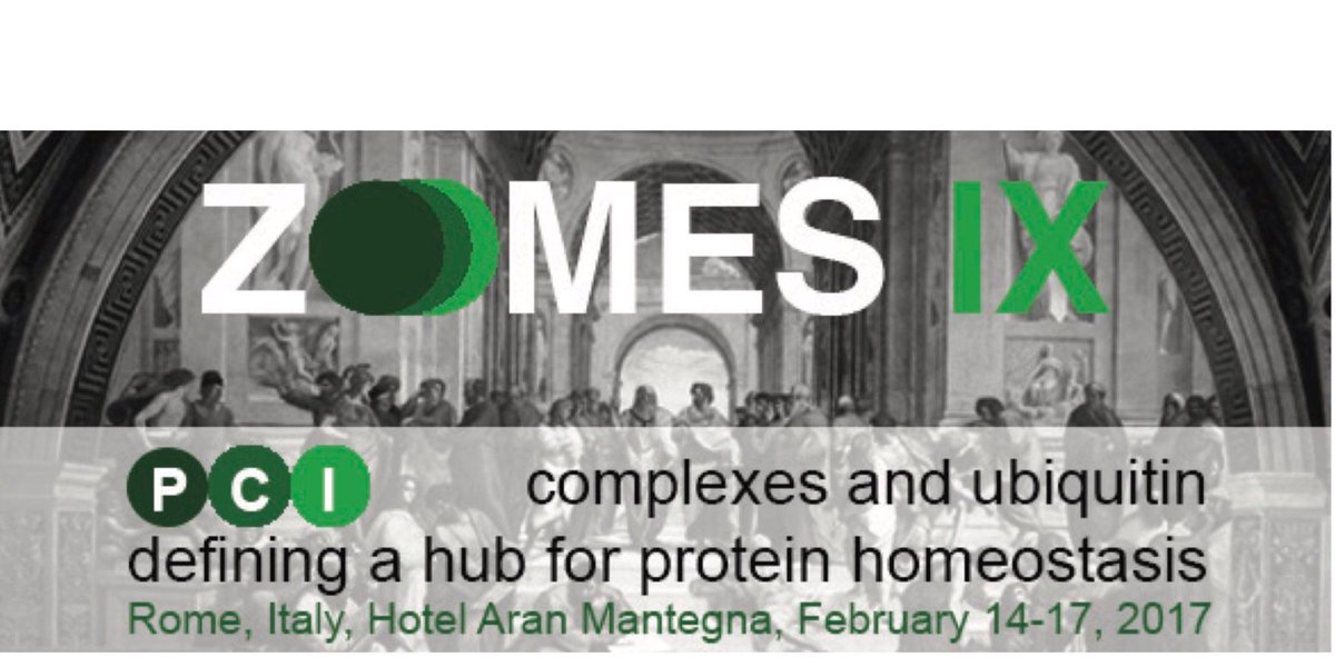 Proteostasis's tweet photo. ZOMES IX CONFERENCE 2017
Rome, Feb 14-17
https://t.co/uPrrTRRJMu
follow: @ZOMESIX
@Proteostasis @COSTprogramme https://t.co/jcxSwT7em6