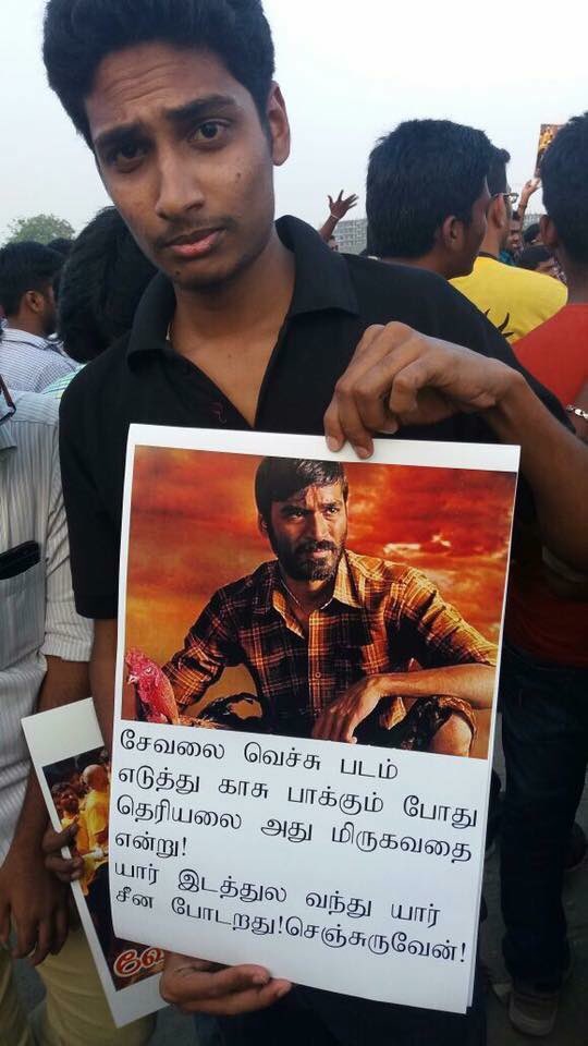 SevanthiClub's tweet photo. #WeNeedJallikattu https://t.co/R6ECd69vry