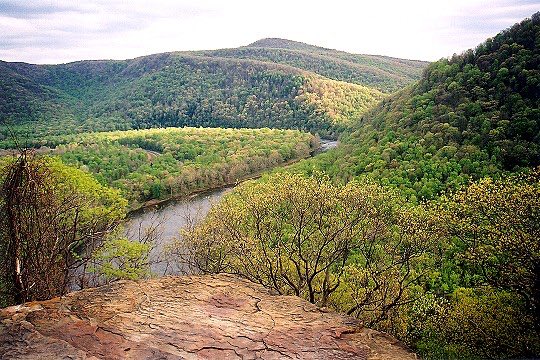 RunDestination's tweet image. Laurel Highlands National Scenic Trail 
(Ohiopyle, Pennsylvania)