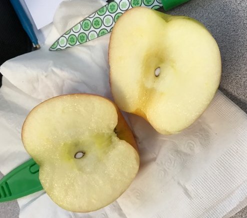 Amy Hockert tweet media