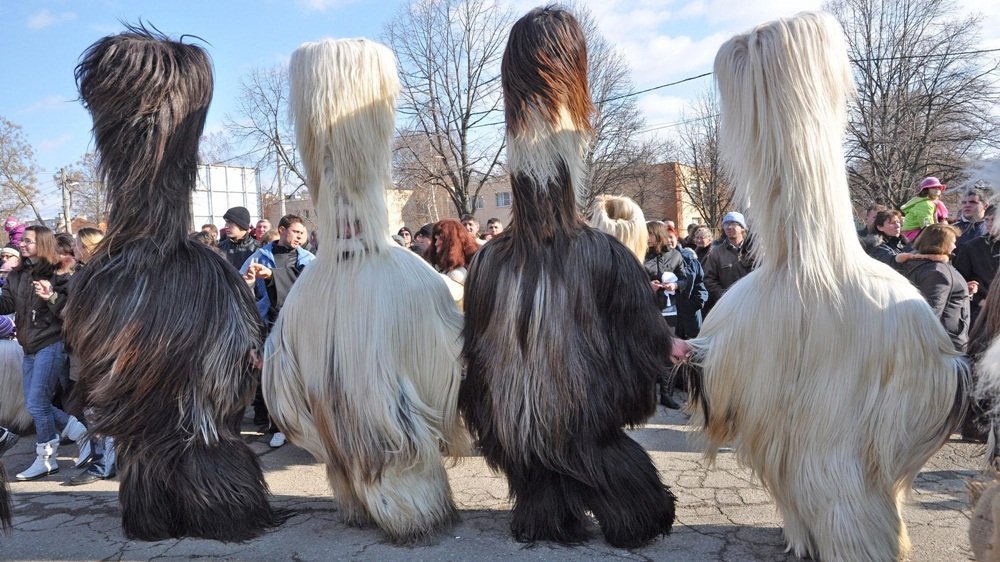 Strano ma vero, sia in #ToniErdmann che in #KingoftheBelgians ci sono i #kukeri bulgari. Noi abbiamo #Siani, dai.