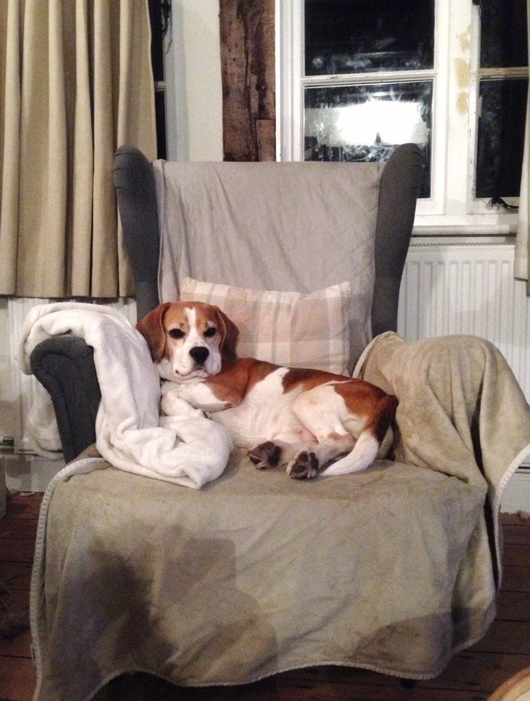 erlenbek's tweet photo. My seat. My throne. My castle. https://t.co/fUbX8dZ6eZ